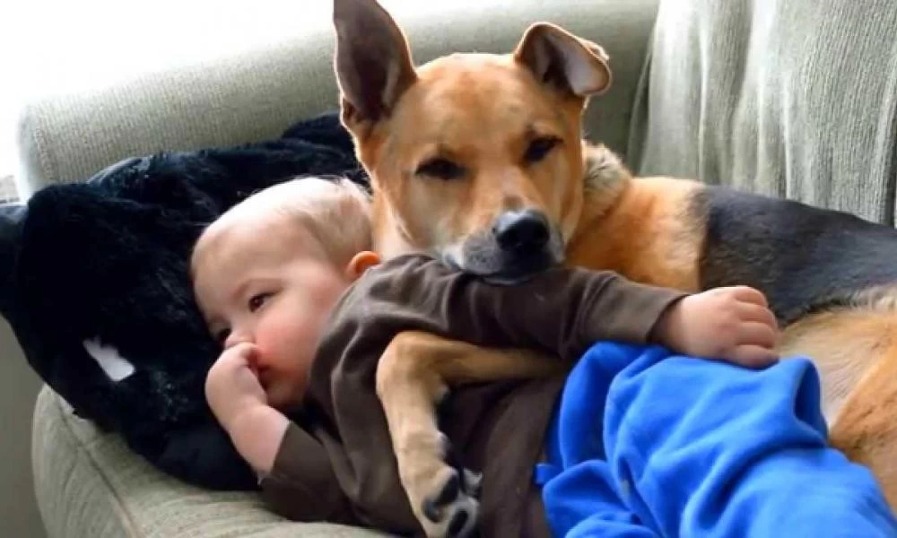 Τραγωδία στο Οχάιο: Νεκρό μωράκι 4 μηνών που έκατσε ο σκύλος επάνω του